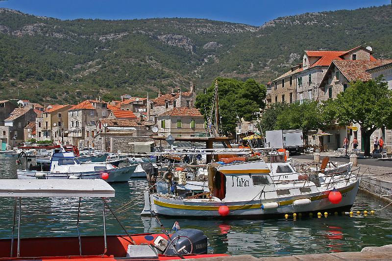 Vis                      25.jpg
